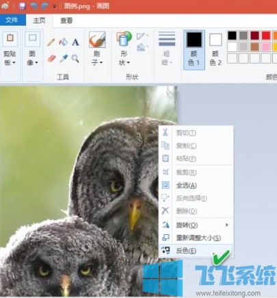 win10画图工具的详细使用教程(收藏向)