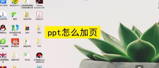 PPT如何加页码?PPT添加页码的操作方法