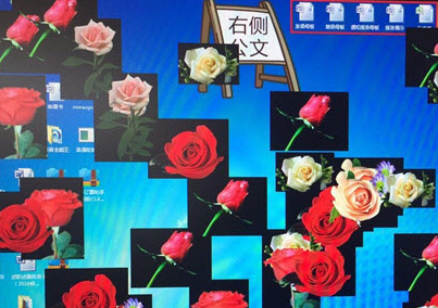 情人节表白神气_情人节的玫瑰表白软件
