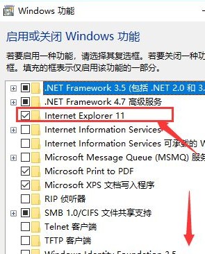 win10家庭版系统安装IE浏览器的详细操作方法(图文)