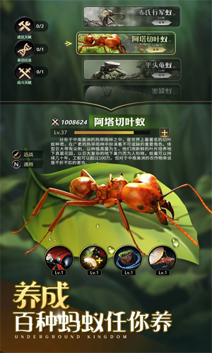 小小蚁国中文手机版下载免费安装