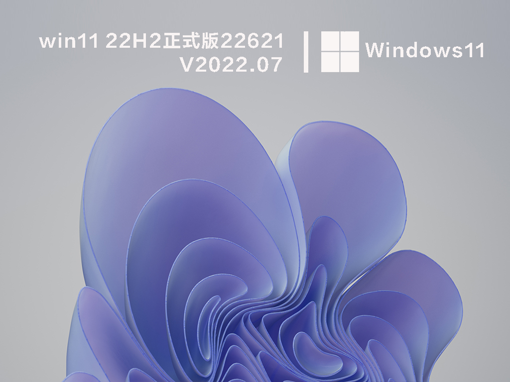 win11 22H2正式版22621中文版下载_win11 22H2正式版22621专业版下载