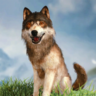 野狼模拟器3D最新版安卓下载