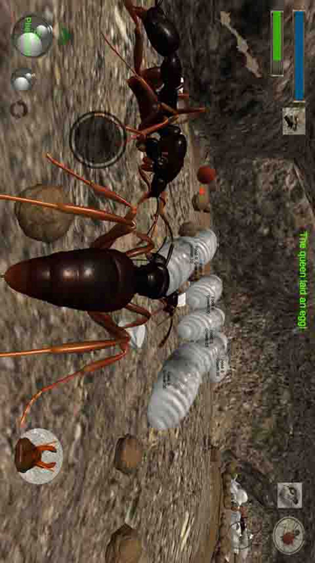 蚂蚁求生模拟器手游下载