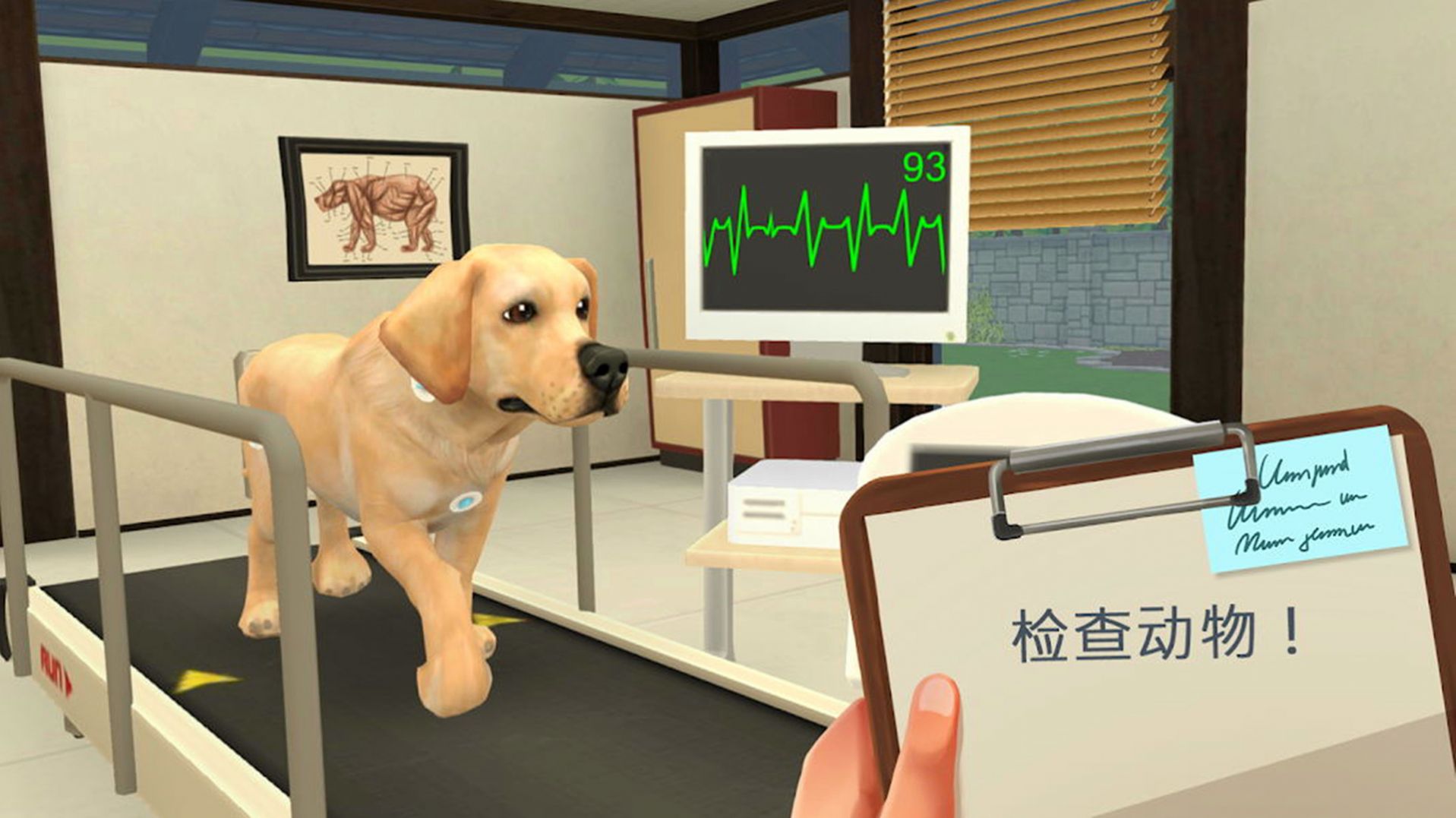 宠物救助模拟器最新下载