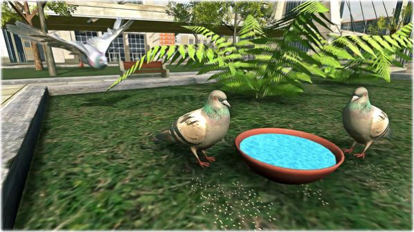 鸽子生存模拟游戏最新版