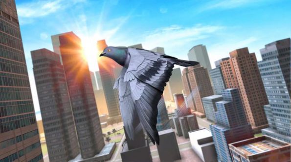 鸽子生存模拟游戏手机版