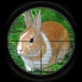 兔子狩猎3D游戏下载