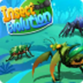合并昆虫进化游戏下载安装