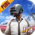pubgmobile手游轻量版下载