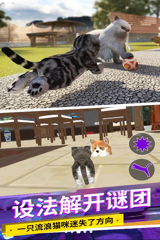 猫咪城市模拟中文版游戏下载