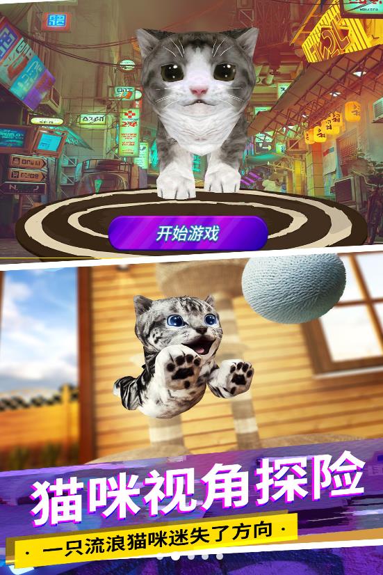 猫咪城市模拟中文版下载安装