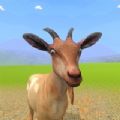 我的山羊生活模拟器游戏下载