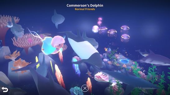 深海庭院app下载安装