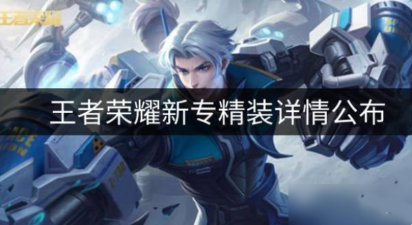 王者荣耀新的专精装如何