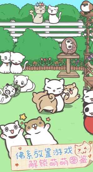 猫咪饲养日常游戏最新版下载