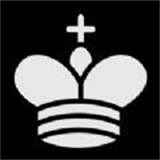 简单国际象棋下载手机苹果版