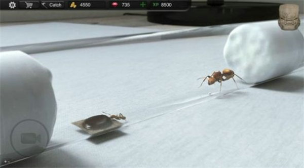 蚂蚁模拟大亨2022最新版下载