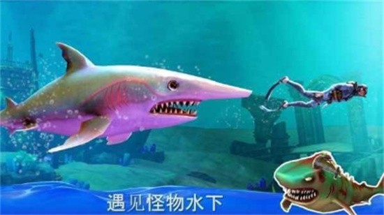 双头鲨鱼最新2022安卓下载