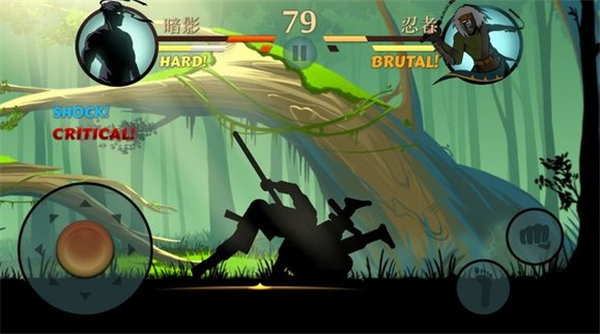 暗影格斗2官方正版下载