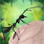 蚂蚁生存3D无限金币版