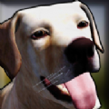狗收容所模拟器3D游戏下载