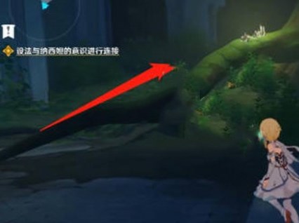 原神与纳西妲的意识进行连接任务完整攻略