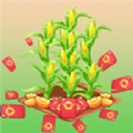 飘香玉米田游戏红包版下载