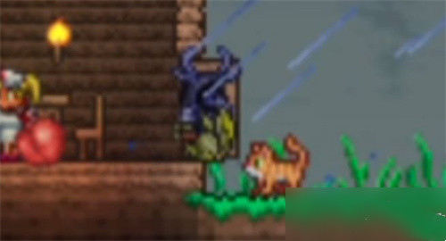 泰拉瑞亚猫咪入住条件是什么