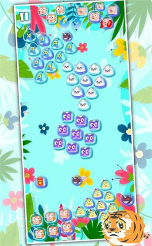 生肖乐一乐游戏安卓版下载