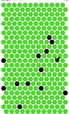 围小猫游戏最新版下载