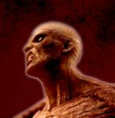 僵尸大冒险app最新版