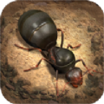 超能蚁团手机苹果下载