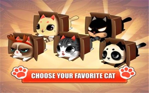 猫小盒安卓版最新下载