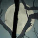 古墓笔记下载2023版