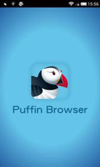 puffin浏览器手机版