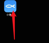 小鱼网App官网版