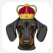 狗王币交易所最新版本