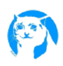 SCAT币appapp下载最新版