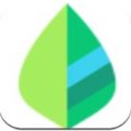 叶子记录app最新下载