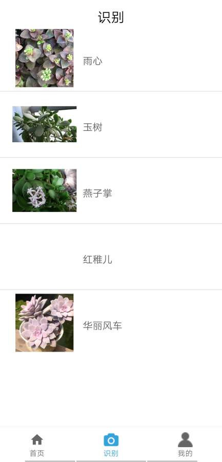 植物伴侣app下载安卓版