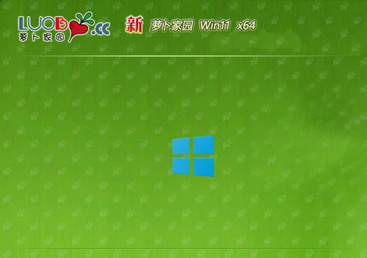萝卜家园windows11完美优质版下载简体中文版_萝卜家园windows11完美优质版专业版