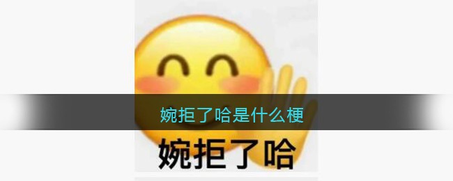 婉拒了哈是什么梗