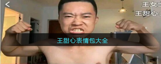 王甜心表情包大全