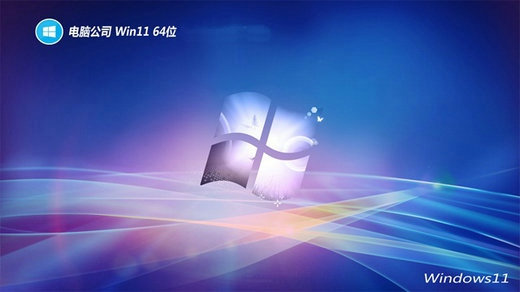 电脑公司Win11内部装机版简体中文版_电脑公司Win11内部装机版下载专业版