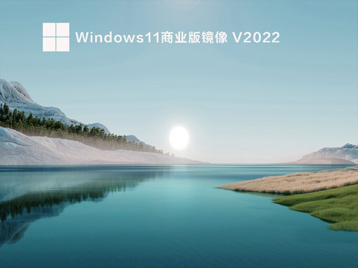 大地系统windows11商业版镜像简体中文版_大地系统windows11商业版镜像下载最新版