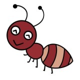 蚂蚁矿池官网版安卓版app