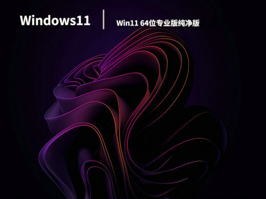 电脑城win11专业版纯净系统下载简体中文版_电脑城win11专业版纯净系统最新版本