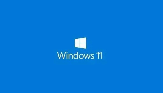 微软原版win11专业工作站版下载中文版完整版_微软原版win11专业工作站版最新版专业版