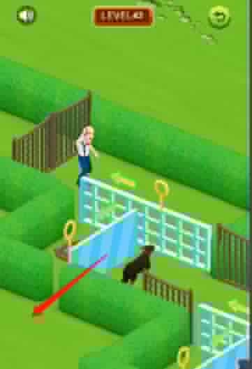 《救出女朋友》第43关通关攻略